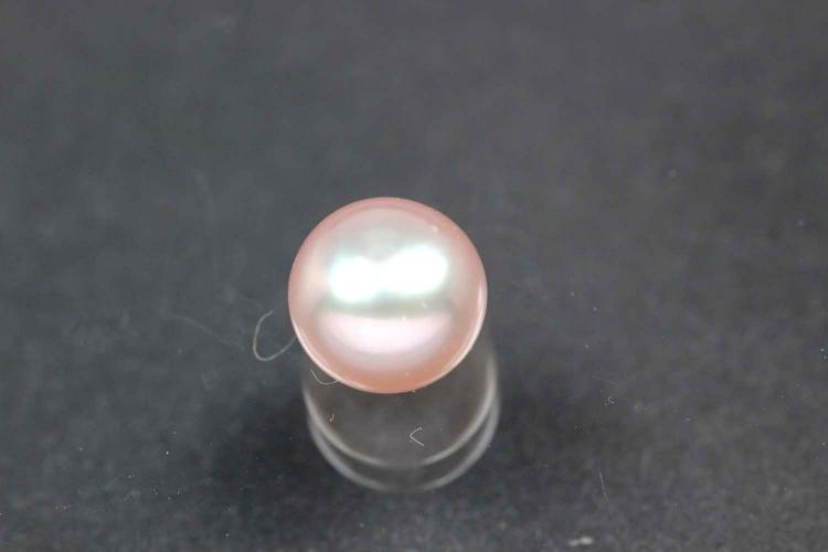 freshwater pearls, half drilled Button, approx. size 7,5-8,0mm, Hoch 6,0-6,5mm, color plum