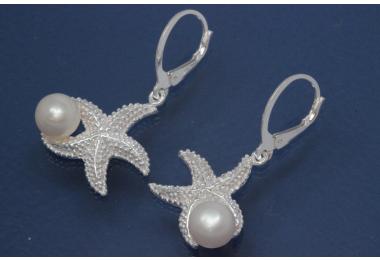 Earring with leverback Seastar and Pearl 925/- Silver polished, approx size high 38mm incl. leverback, wide 22,0mm,  with FW-Pearl approx size 7,5mm.