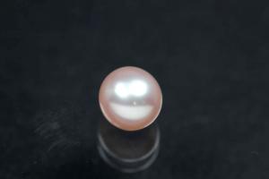Freshwater pearls, half drilled round, approx.size 5,0-5,5mm, color rose