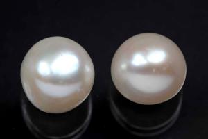 freshwater pearls, half drilled Button, approx. size 10,5-11,0mm, Hoch 8,5-9,0mm, color white