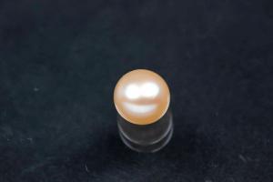 Swasserperlen, angebohrt Button, ca.Mae 6,0-6,5mm, Hoch 5,0-5,5mm, Farbe peach