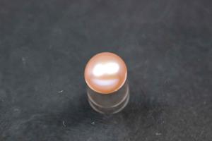 Swasserperlen, angebohrt Button, ca.Mae 6,0-6,5mm, Hoch 5,0-5,5mm, Farbe plum