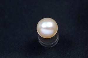 Swasserperlen, angebohrt Button, ca.Mae 7,0-7,5mm, Hoch 5,5-6,0mm, Farbe peach