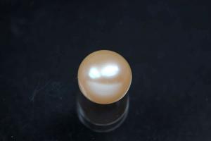 freshwater pearls, half drilled Button, approx. size 7,5-8,0mm, Hoch 6,5-7,0mm, color peach