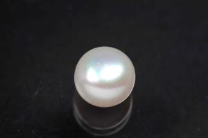 Swasserperlen, angebohrt Button, ca.Mae 8,5-9,0mm, Hoch 6,5-7,0mm, Farbe weiss